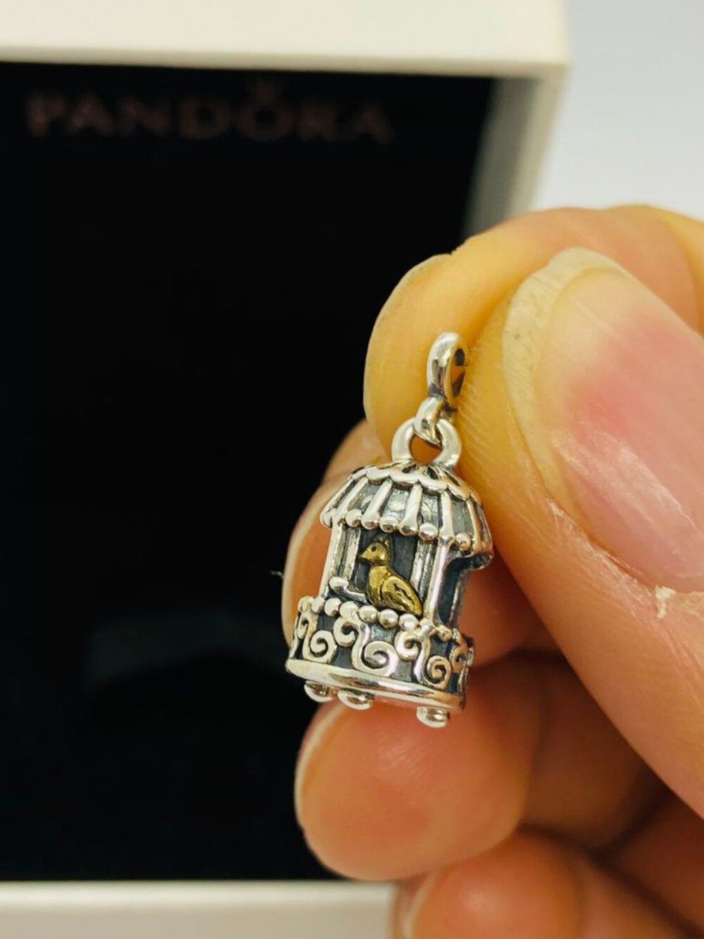 ✨✨Pandora Birdcage Charm Songbird Charm
